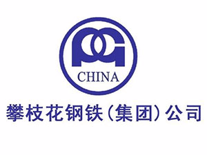 Panzhihua Iron and Steel (Group) Co., Ltd.