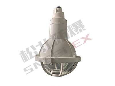 BGL-S-200 series explosion-proof anti-corrosion lamp
