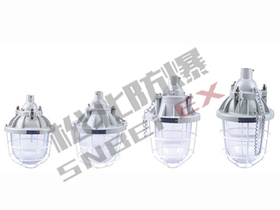 BCD53 series explosion-proof explosion-proof lamp