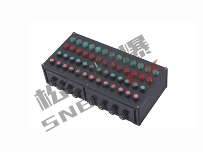 BXK8050 series explosion-proof anti-corrosion control box (IIC.DIP)